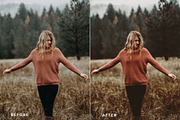 Mobile Oneday : Moody Fade Lr preset, an Action Add-On by Emyself Design (Thumbnail 3 of 10)