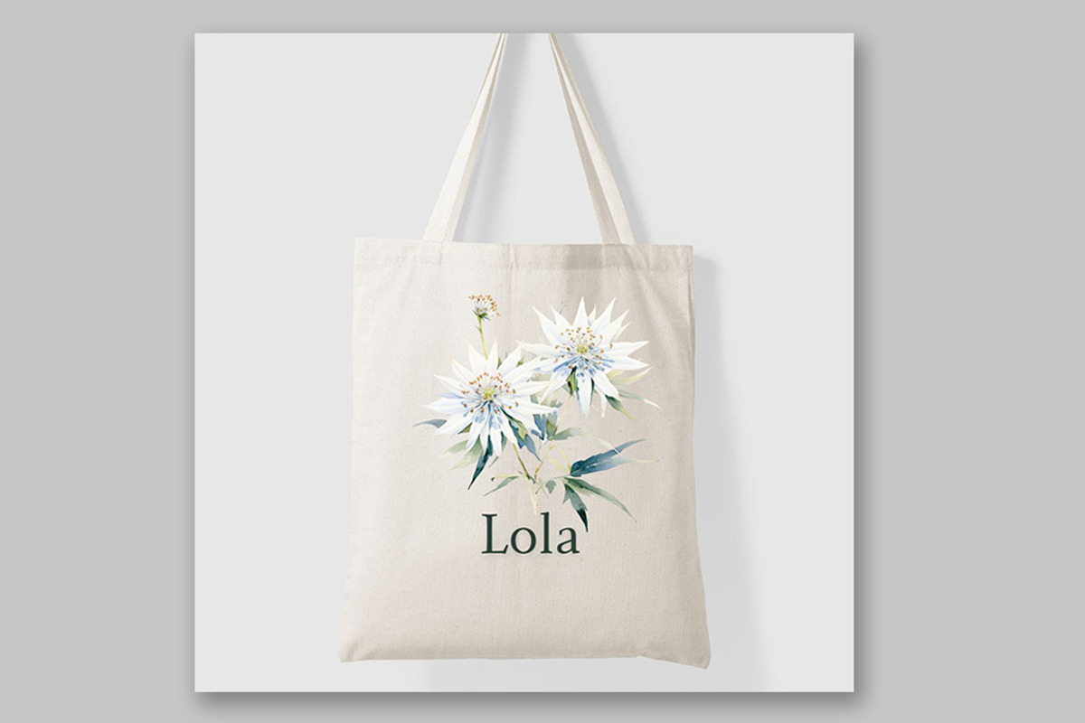 White Flowers Clipart Eucalyptus, a Decorative Illustration by LeCoqDesign (Photo 4 of 5)