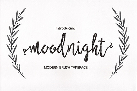 Moodnight Script, a Script Font by Areatype