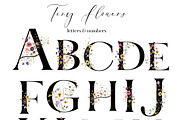 Tiny Flowers Pressed Floral Clipart, an Illustration by whiteheartdesign (Thumbnail 8 of 17)