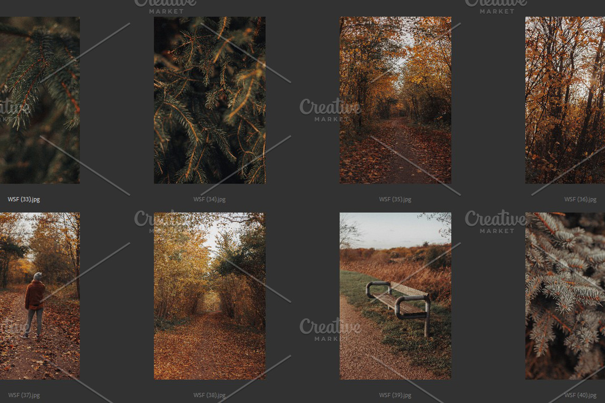 Cozy FALL Season (45 images), a Nature Photo by studiottander (Photo 7 of 9)