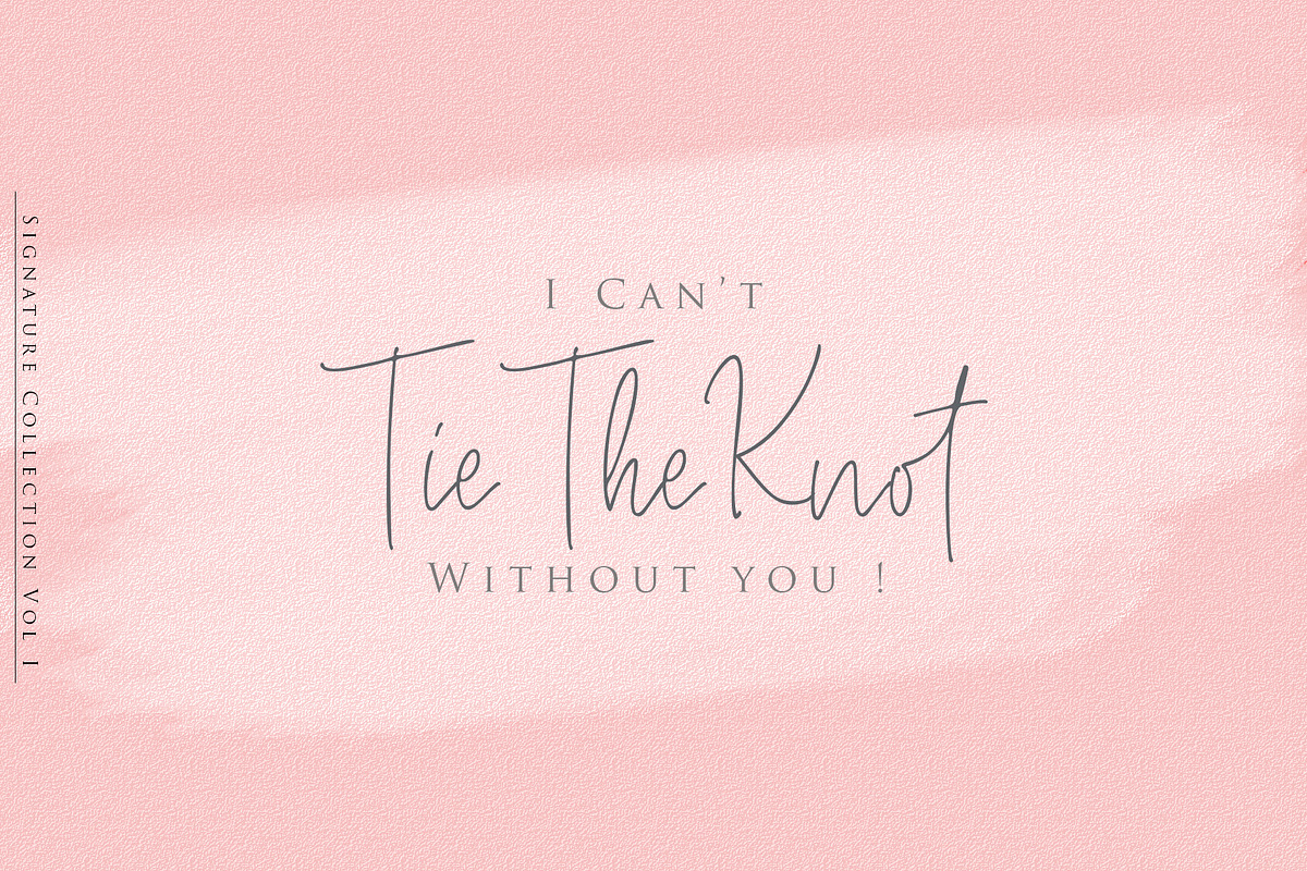 Beauty Signature - Handwritten Font, a Script Font by Dm Studio (Photo 9 of 10)