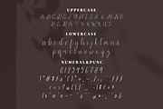 Endelly Script Fonts, a Script Font by mahstudios (Thumbnail 12 of 15)