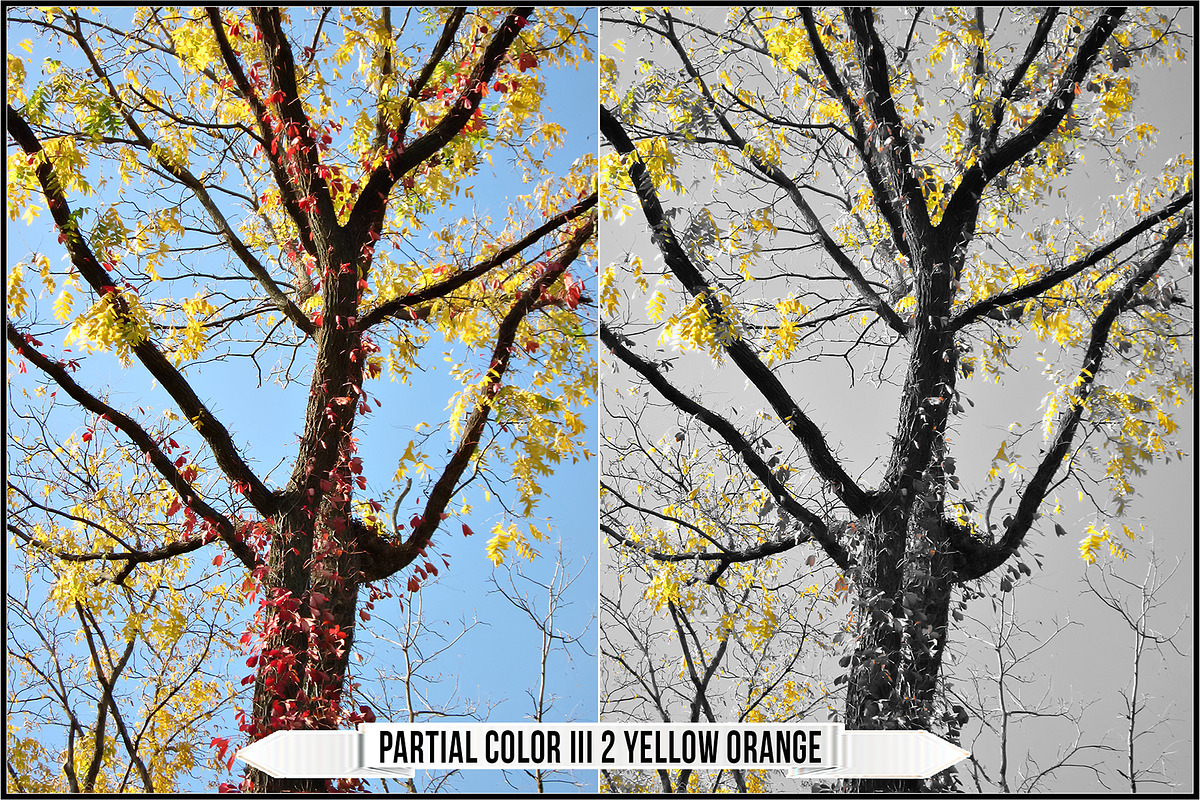 OM System & Olympus Art Filters, a Plug-in Add-On by Raztrend (Photo 24 of 30)
