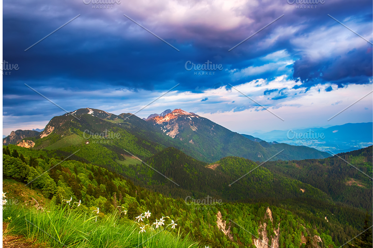 Alpine mountains - view from Golica, a Graphic by Nature and travel