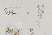 Ardent Elegance - Botanical Set, an Illustration by Backyard Rose (Thumbnail 4 of 13)