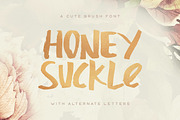 Brush Font Bundle, a Font by Tugcu Design Co. (Thumbnail 10 of 13)