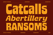 Notre - Plus Bonus Photos, a Sans Serif Font by Flavortype (Thumbnail 3 of 16)