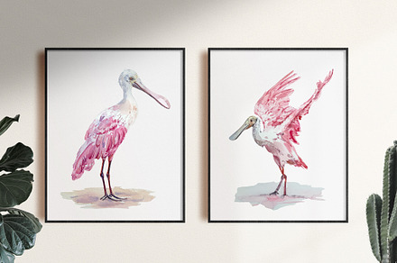 Roseate Spoonbill - Watercolor Print