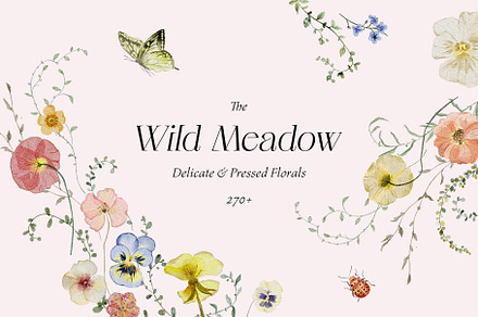Wild Meadow - Delicate & Pressed