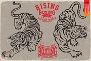 BOXING, an Animal Illustration by Artistic & Unique (Thumbnail 2 of 9)