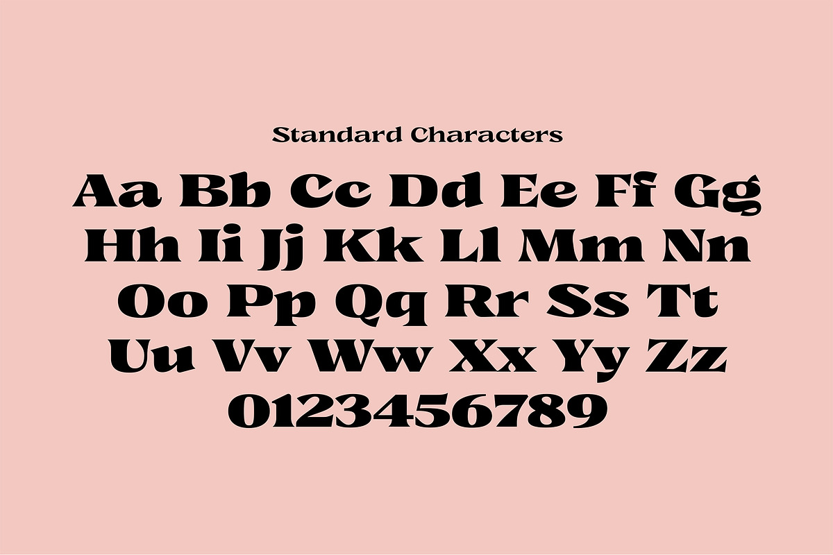 Caleit - Variable Font, a Serif Font by Get Studio (Photo 19 of 20)