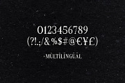 Croak Typeface, a Serif Font by Tugcu Design Co. (Thumbnail 5 of 5)