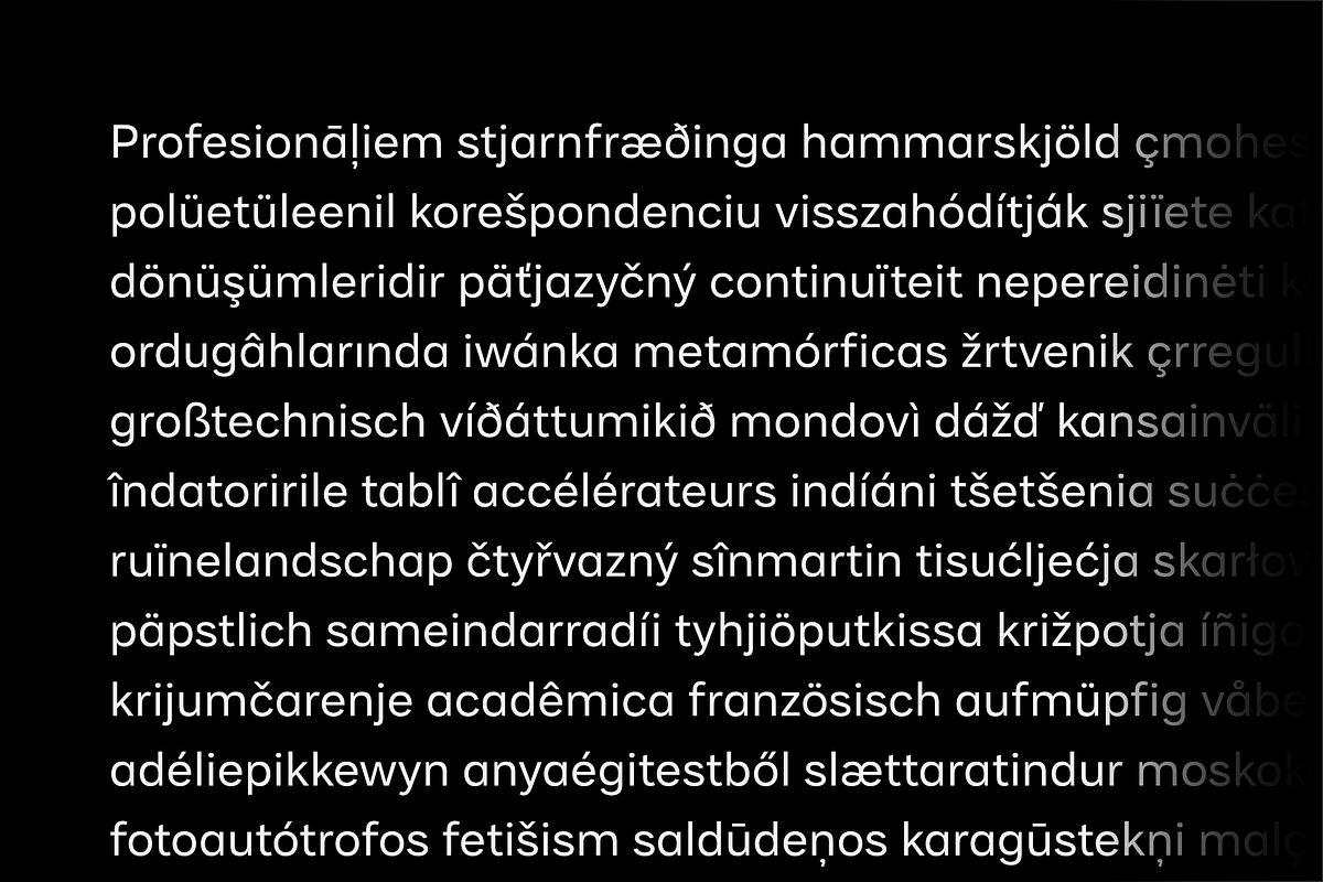Malnor Sans Font Family, a Sans Serif Font by Sikifonts (Photo 10 of 11)