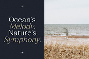 Qestrafin Modern Serif Font, a Serif Font by Letterena Studios (Thumbnail 9 of 15)