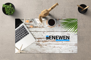 Senewen Google Slide