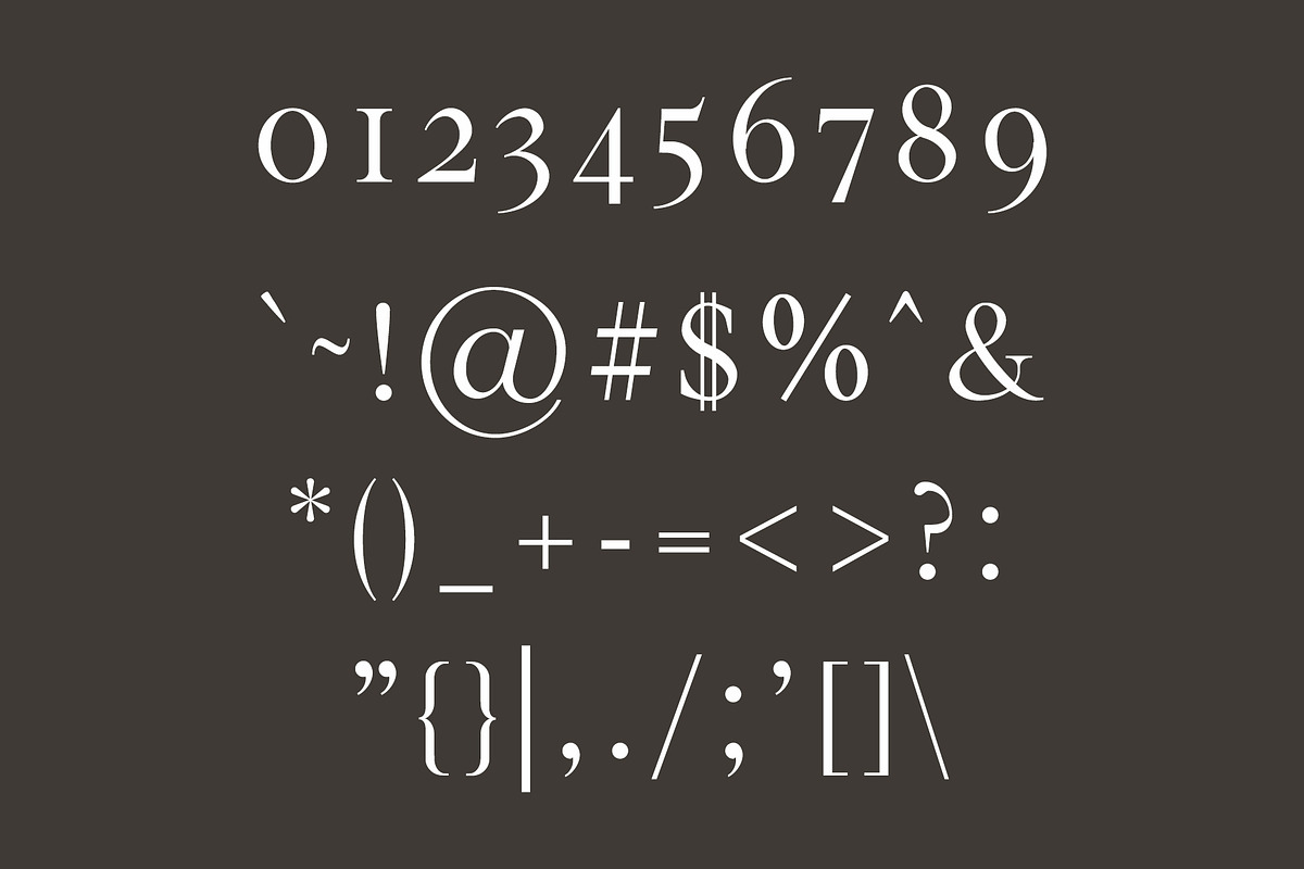 Hughe Serif Font Family preview 3