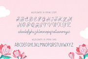 Wildflowers in Spring Font Duo, a Script Font by Salt & Pepper Designs (Thumbnail 6 of 8)