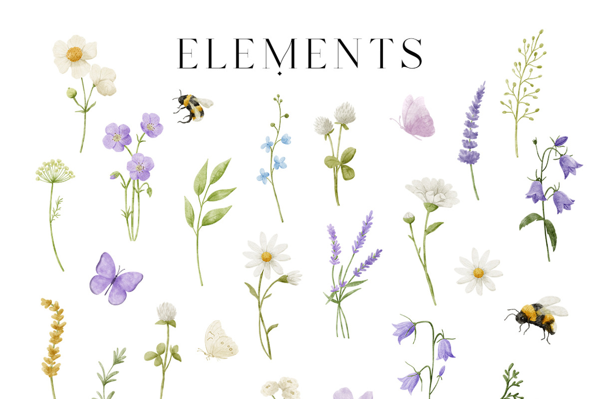 Watercolor Summer Wildflowers, an Illustration by polikarpovaart (Photo 14 of 16)