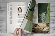 Wildlife Magazine Template, a Magazine Template by voryu (Thumbnail 3 of 5)