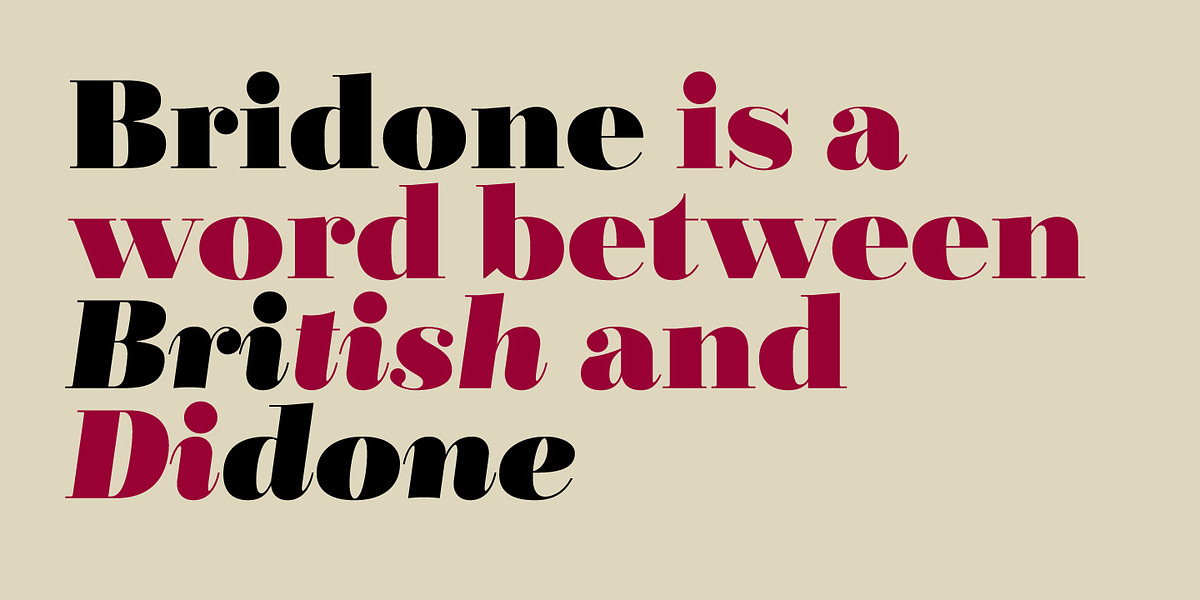 Bridone, a Serif Font by Tipo Pépel (Photo 6 of 7)