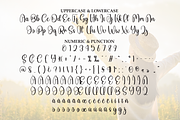Delightful | Script Font, a Handwritten Font by Scratchones (Thumbnail 6 of 8)