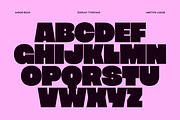 Aigon - Bold Display Font, a Sans Serif Font by limitype (Thumbnail 11 of 14)