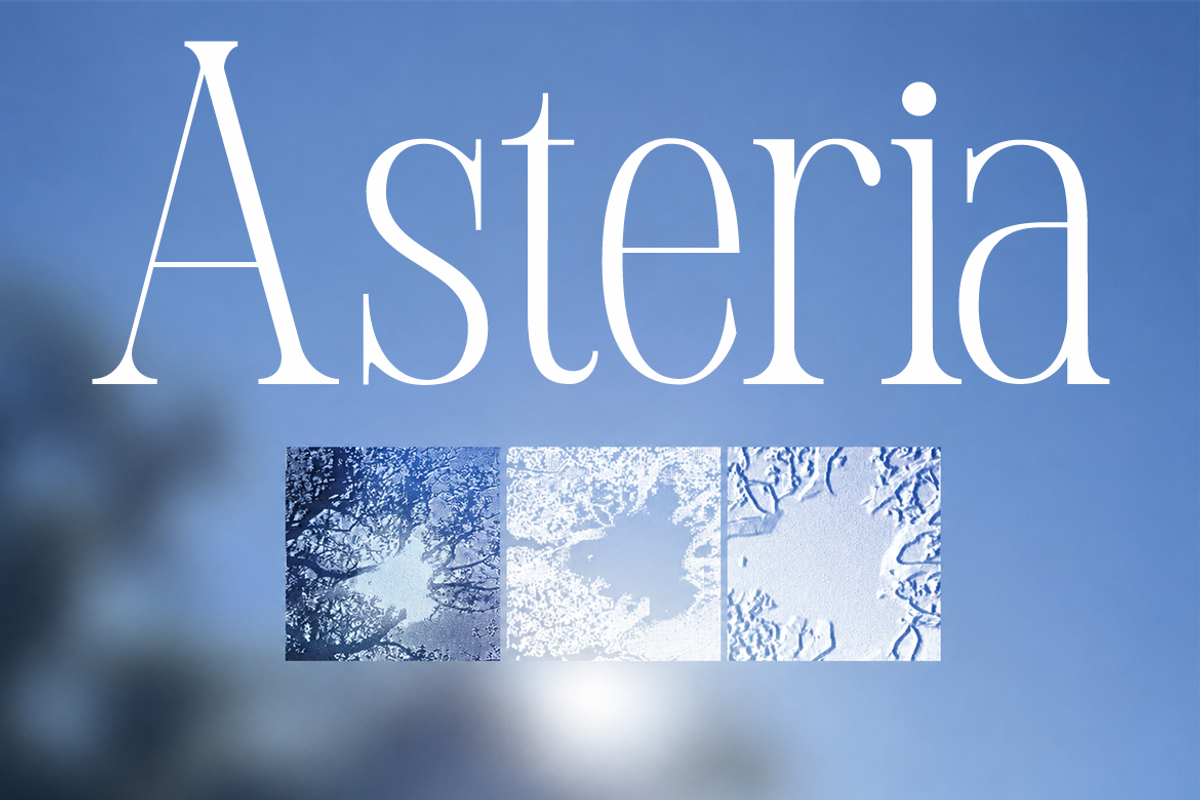 Yolane Modern Elegant Serif Font, a Serif Font by Rasio Studio (Photo 6 of 11)