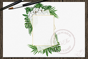 Tropical Big Pack Watercolor Clip, a Decorative Illustration by DioFlow (Thumbnail 21 of 26)