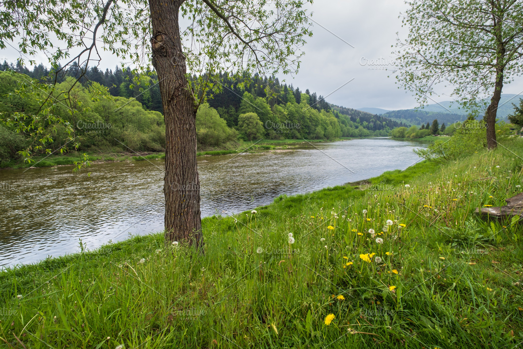 Spring picturesque river band view. Mountains scenery view behin, a Nature Photo by YuriyB