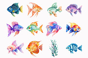 Watercolor fish clipart, an Illustration by Design Market (Thumbnail 3 of 4)