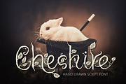 Cheshire. Magic script font., a Script Font by Red Ink (Thumbnail 1 of 13)