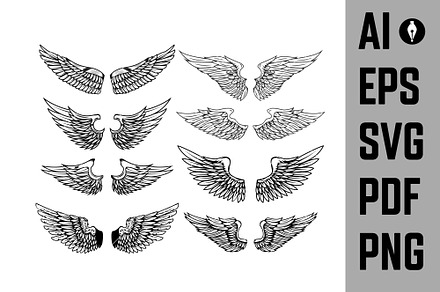 Wing Vector Set | Animal Illustrations ~ Creative Market