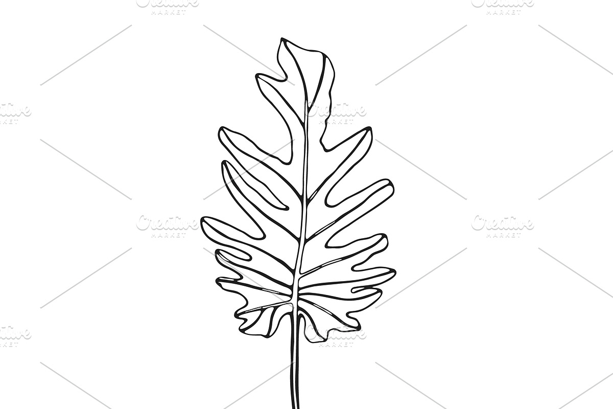 Palm Leaves svg, Botanical png, a Decorative Illustration by Watercolor_Vector Graphic (Photo 15 of 25)