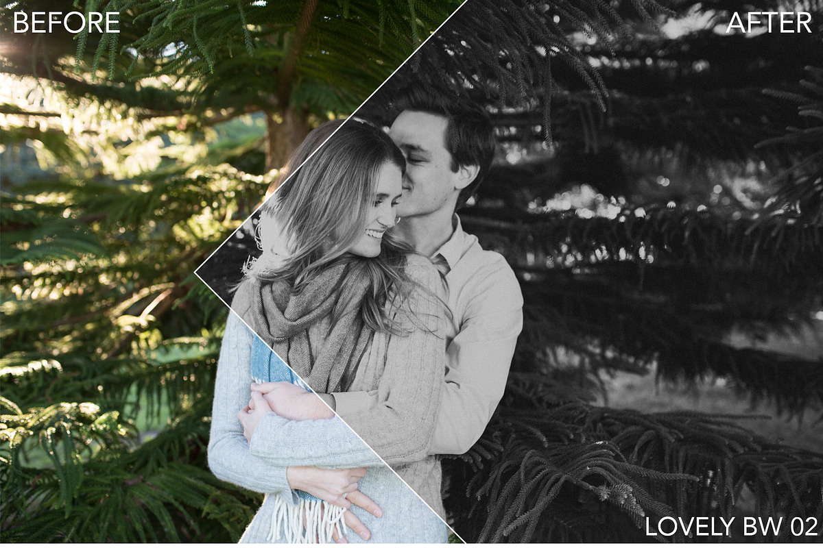B&W Wedding ACR + Lightroom Preset, an Action Add-On by Shae Estella Photo (Photo 5 of 6)