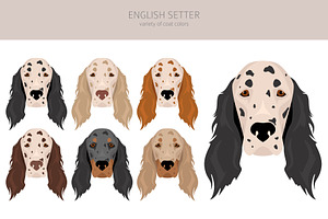 English Setter Clipart