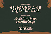 Hadeya - Modern Script Typeface, a Script Font by Typefactoryco (Thumbnail 3 of 9)
