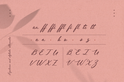 Inola Hand Lettered Font, a Script Font by Wild Ones (Thumbnail 5 of 12)