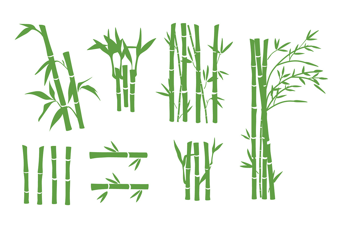 Bamboo branches, stems and leaves, a Decorative Illustration by Viktorijareut