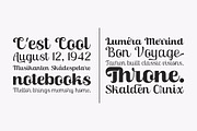 Skinno — A Variable Script Typeface, a Script Font by Skinny Type (Thumbnail 6 of 10)