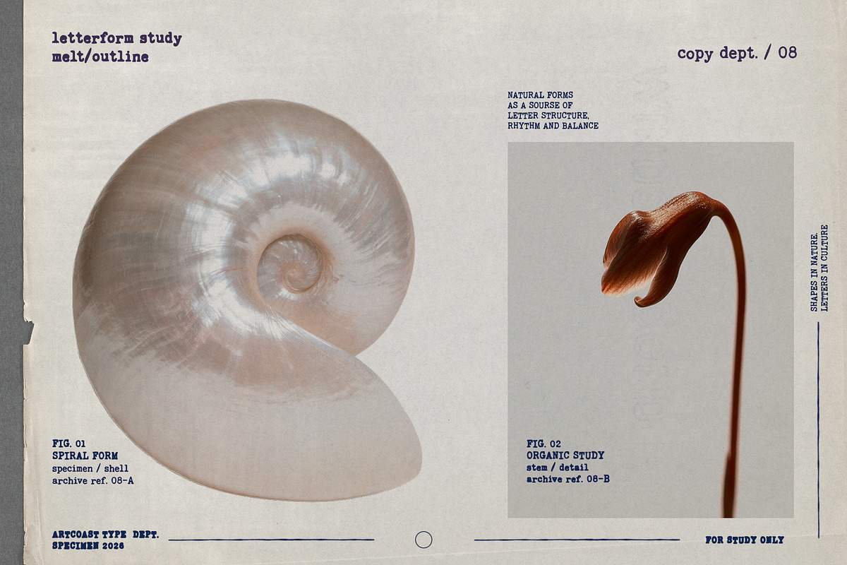 Copy Dept. — Editorial Archive Font, a Slab Serif Font by nadispasibenko (Photo 2 of 7)