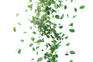 Green leaves falling softly on white, a Food & Drink Photo by Pixeness Studio