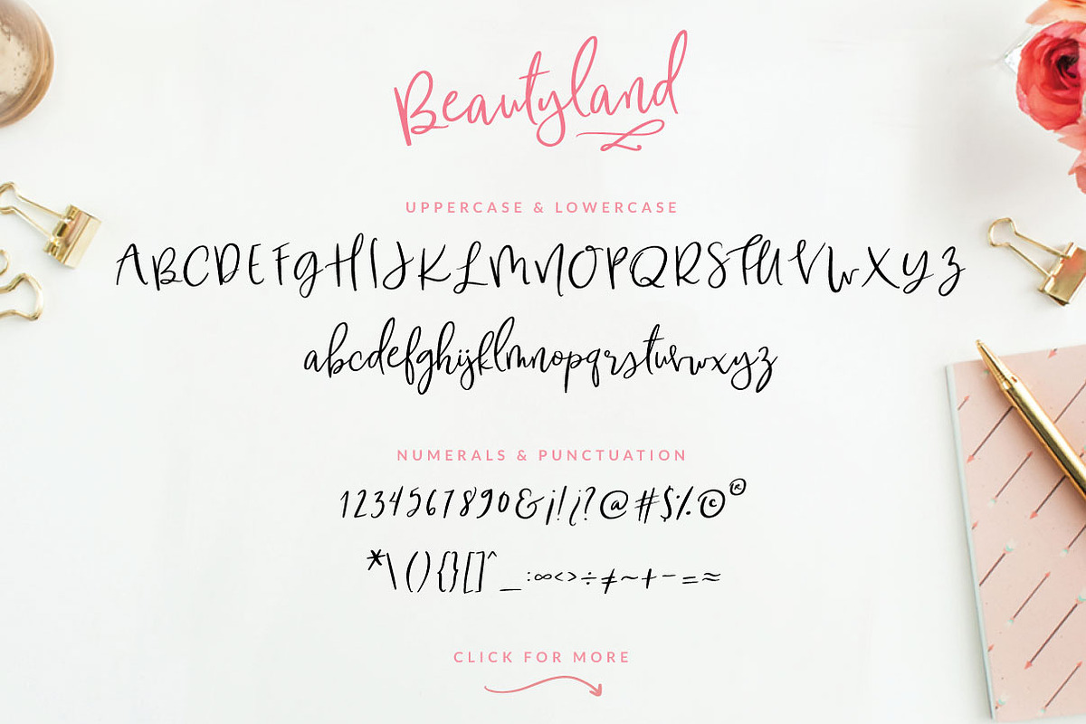 Fonts bundle - 12 fonts preview 6