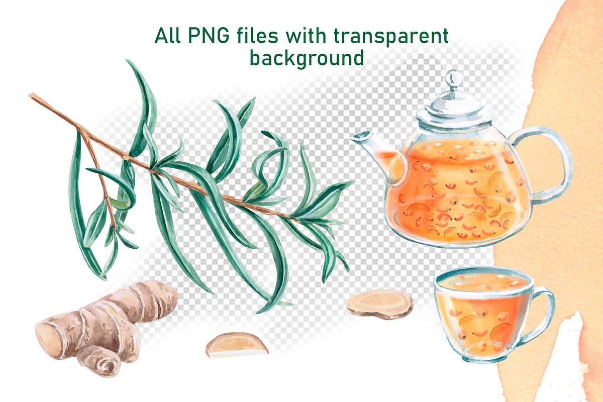 Sea Buckthorn and Ginger, a Food Illustration by SvetLana (Photo 3 of 12)