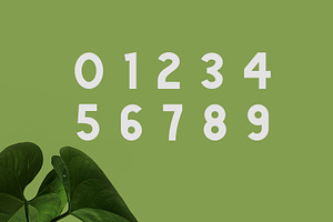 Green Natural Cute Font