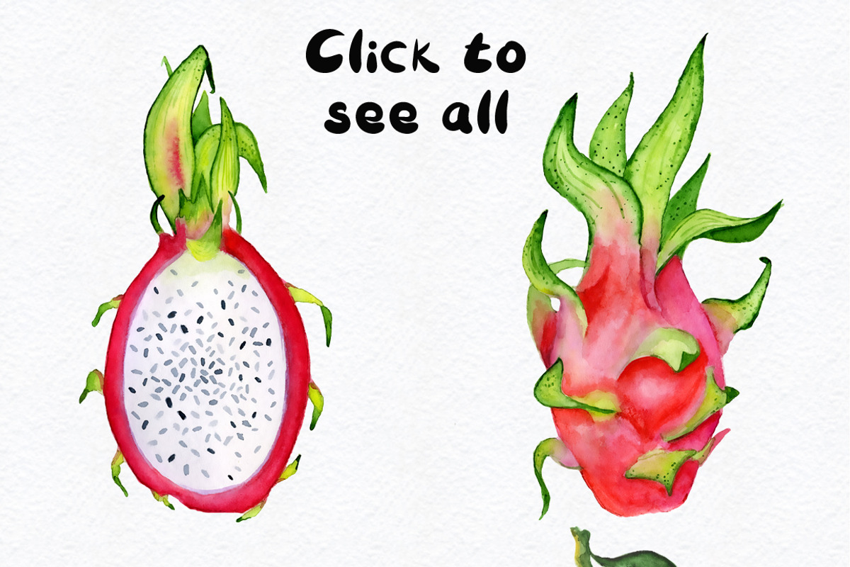 Watercolor tropical fruits clipart, a Food Illustration by Evgeniia (Photo 3 of 10)