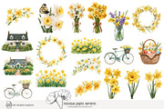 100 watercolour daffodil clip art, a Seasonal Illustration by Poppy Lane Studio (Thumbnail 6 of 12)