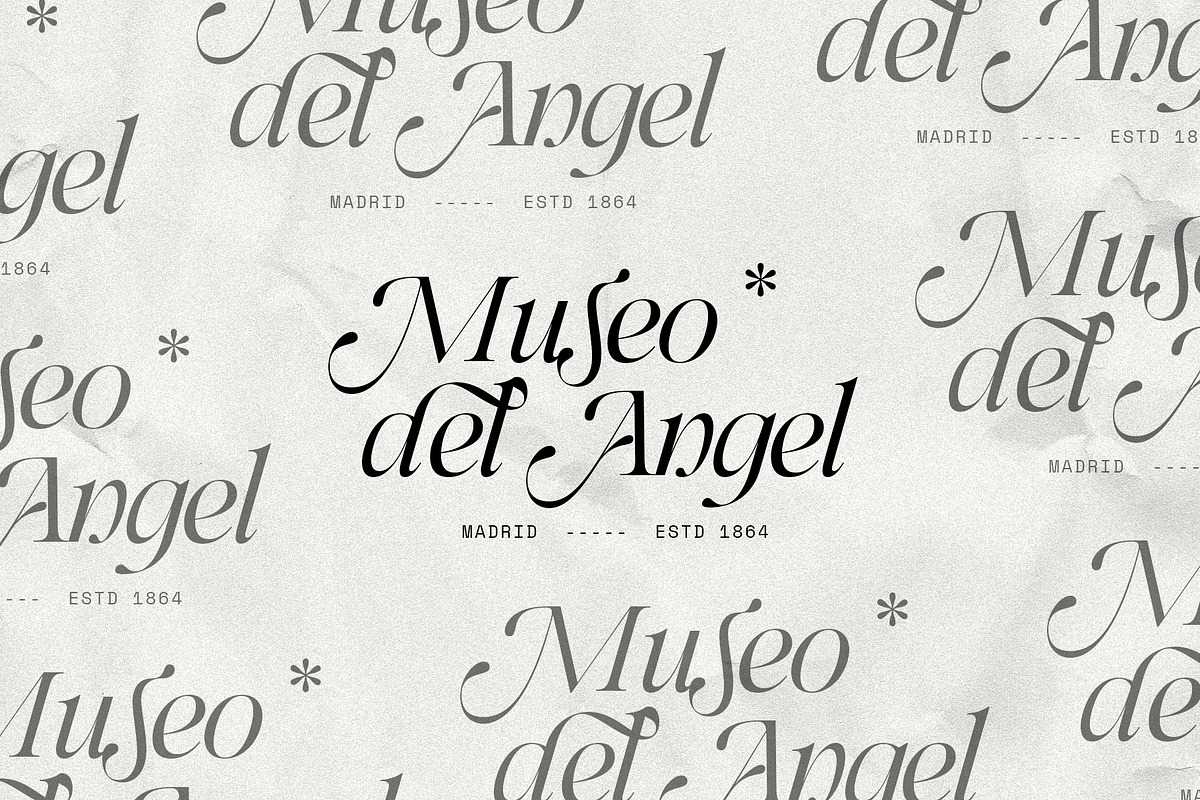 Netsera Calligraphic Serif Typeface, a Serif Font by SilverStag Type Foundry (Photo 8 of 30)