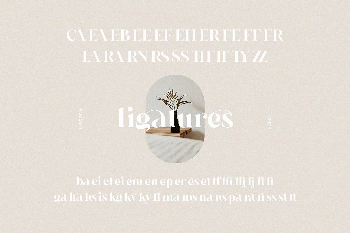 Galins – Ligature Typeface, a Serif Font by BrandSemut (Photo 12 of 13)