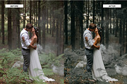 Jungle Lightroom Presets, an Action Add-On by Best Lightroom Presets (Thumbnail 18 of 19)